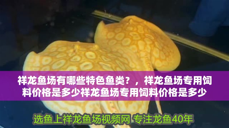 祥龍魚場有哪些特色魚類？，祥龍魚場專用飼料價格是多少祥龍魚場專用飼料價格是多少