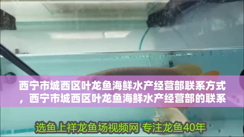 西寧市城西區葉龍魚海鮮水產經營部聯系方式，西寧市城西區葉龍魚海鮮水產經營部的聯系方式
