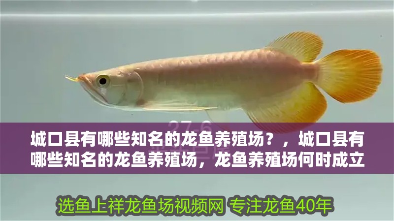 城口縣有哪些知名的龍魚養殖場？，城口縣有哪些知名的龍魚養殖場，龍魚養殖場何時成立