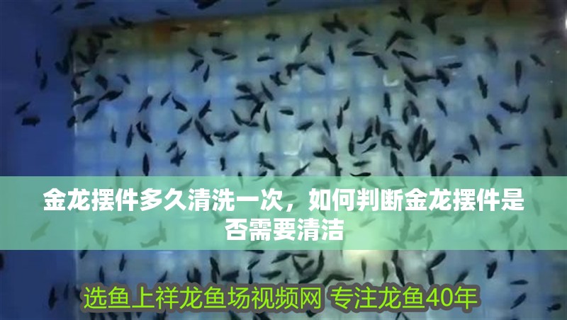 金龍擺件多久清洗一次，如何判斷金龍擺件是否需要清潔
