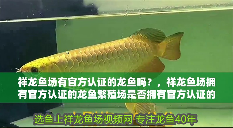 祥龍魚場有官方認證的龍魚嗎？，祥龍魚場擁有官方認證的龍魚繁殖場是否擁有官方認證的龍魚