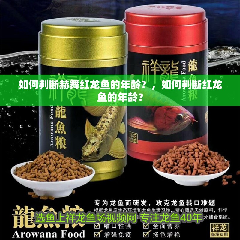 如何判斷赫舞紅龍魚的年齡？，如何判斷紅龍魚的年齡？