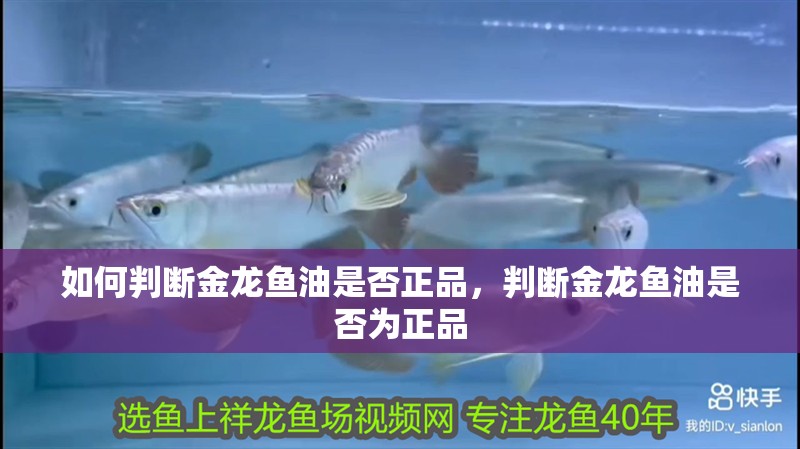 如何判斷金龍魚油是否正品，判斷金龍魚油是否為正品
