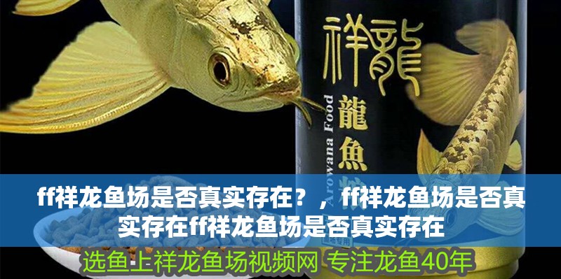 ff祥龍魚場是否真實存在？，ff祥龍魚場是否真實存在ff祥龍魚場是否真實存在