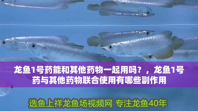 龍魚1號藥能和其他藥物一起用嗎？，龍魚1號藥與其他藥物聯合使用有哪些副作用
