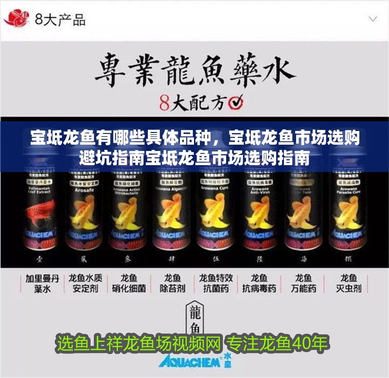 寶坻龍魚有哪些具體品種，寶坻龍魚市場選購避坑指南寶坻龍魚市場選購指南