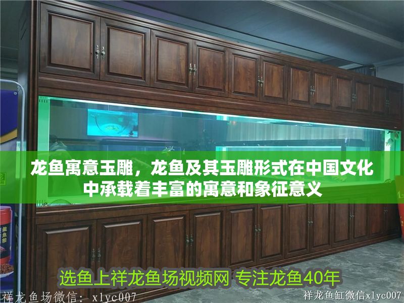 龍魚寓意玉雕，龍魚及其玉雕形式在中國文化中承載著豐富的寓意和象征意義 龍魚寓意玉雕，龍魚及其玉雕形式在中國文化中承載著豐富的寓意和象征意義 龍魚百科 第2張
