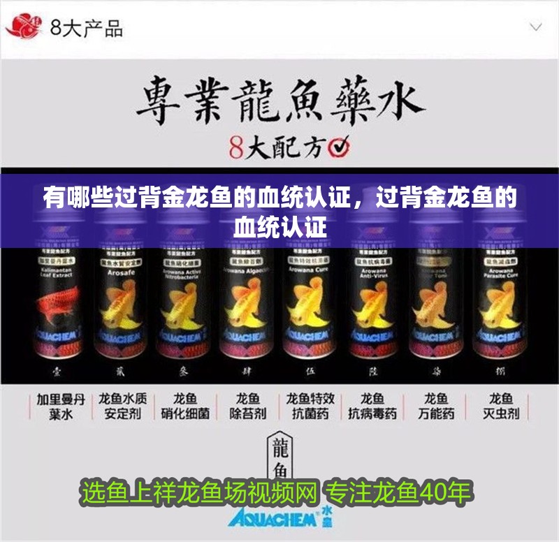 有哪些過背金龍魚的血統認證，過背金龍魚的血統認證