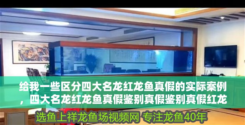 給我一些區分四大名龍紅龍魚真假的實際案例，四大名龍紅龍魚真假鑒別真假鑒別真假紅龍魚真假案例