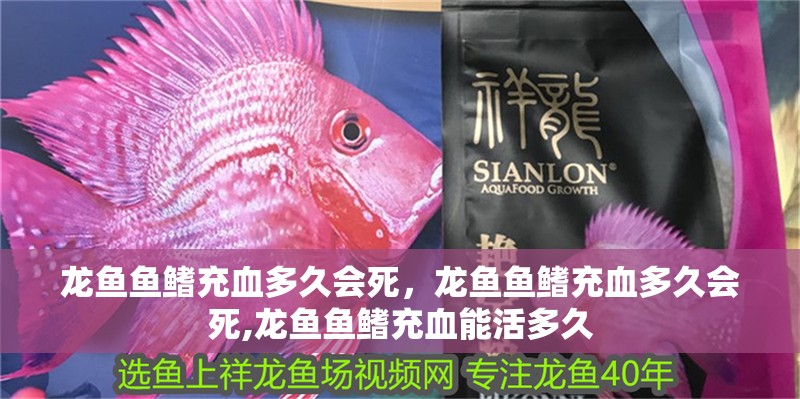 龍魚魚鰭充血多久會死，龍魚魚鰭充血多久會死,龍魚魚鰭充血能活多久