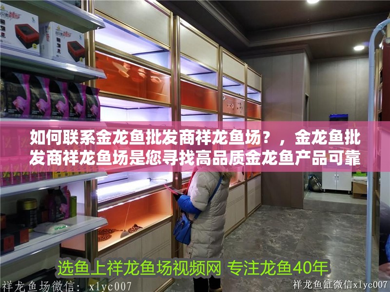 如何聯(lián)系金龍魚批發(fā)商祥龍魚場？，金龍魚批發(fā)商祥龍魚場是您尋找高品質(zhì)金龍魚產(chǎn)品可靠來源