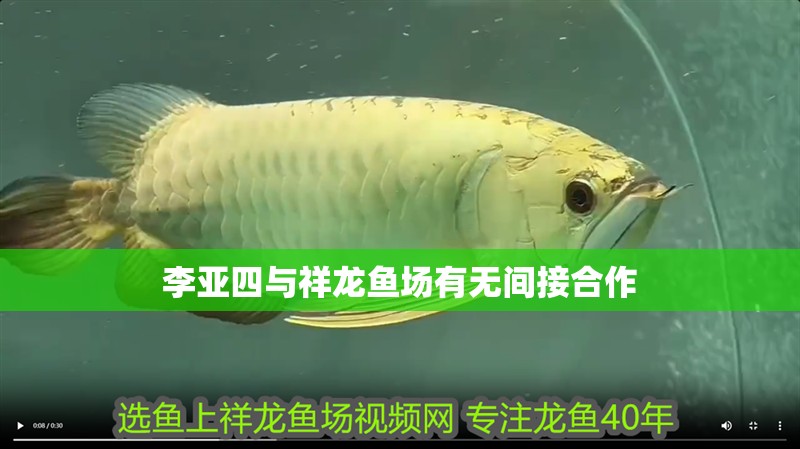 李亞四與祥龍魚場有無間接合作