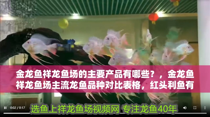 金龍魚祥龍魚場的主要產品有哪些？，金龍魚祥龍魚場主流龍魚品種對比表格，紅頭利魚有哪些品種