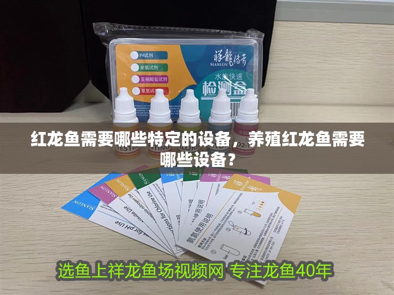 紅龍魚需要哪些特定的設備，養殖紅龍魚需要哪些設備？