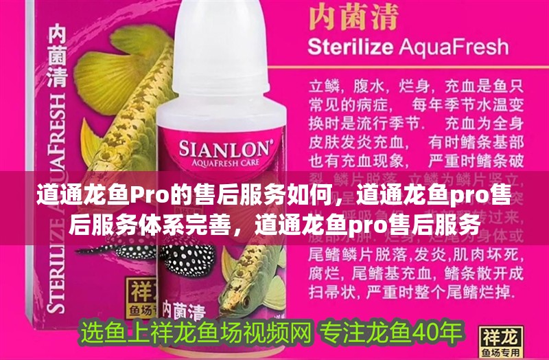 道通龍魚Pro的售后服務如何，道通龍魚pro售后服務體系完善，道通龍魚pro售后服務