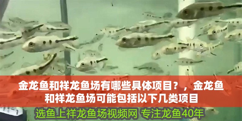 金龍魚和祥龍魚場有哪些具體項目？，金龍魚和祥龍魚場可能包括以下幾類項目