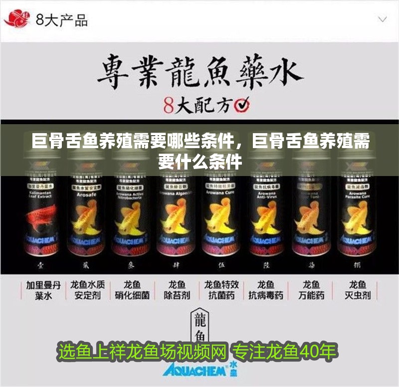 巨骨舌魚養殖需要哪些條件，巨骨舌魚養殖需要什么條件
