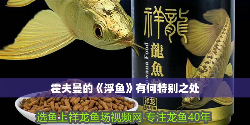 霍夫曼的《浮魚》有何特別之處
