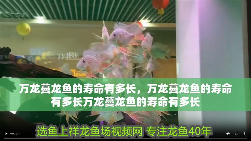 萬(wàn)龍蔓龍魚(yú)的壽命有多長(zhǎng)，萬(wàn)龍蔓龍魚(yú)的壽命有多長(zhǎng)萬(wàn)龍蔓龍魚(yú)的壽命有多長(zhǎng)