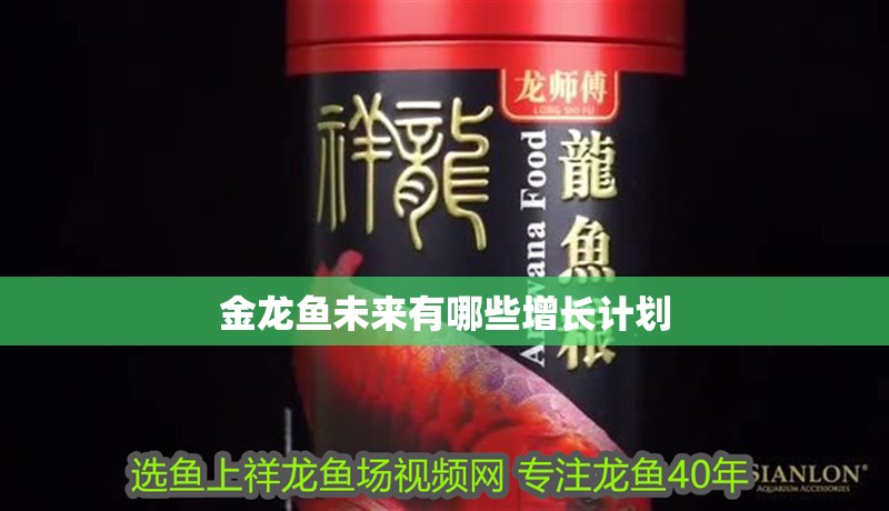 金龍魚(yú)未來(lái)有哪些增長(zhǎng)計(jì)劃