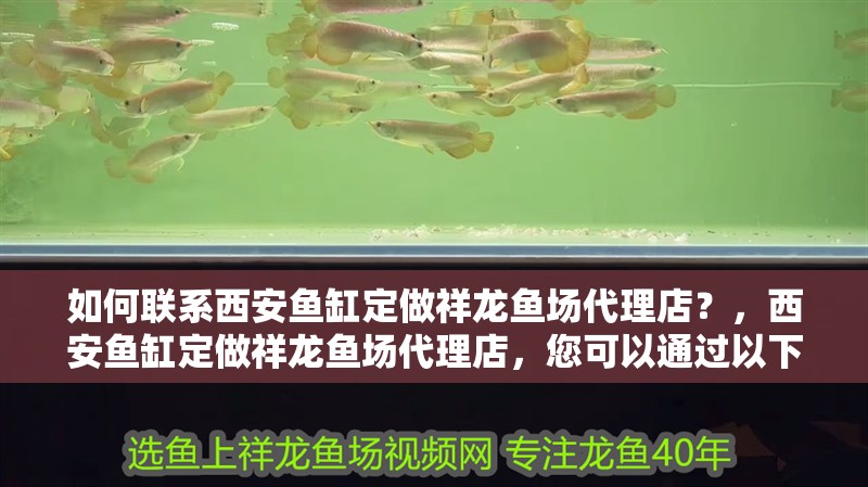 如何聯(lián)系西安魚(yú)缸定做祥龍魚(yú)場(chǎng)代理店？，西安魚(yú)缸定做祥龍魚(yú)場(chǎng)代理店，您可以通過(guò)以下幾種方式聯(lián)系