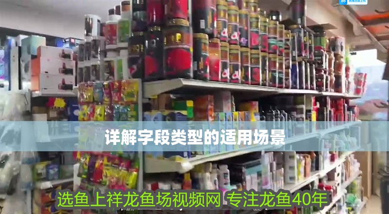 詳解字段類(lèi)型的適用場(chǎng)景