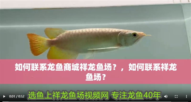 如何聯(lián)系龍魚(yú)商城祥龍魚(yú)場(chǎng)？，如何聯(lián)系祥龍魚(yú)場(chǎng)？