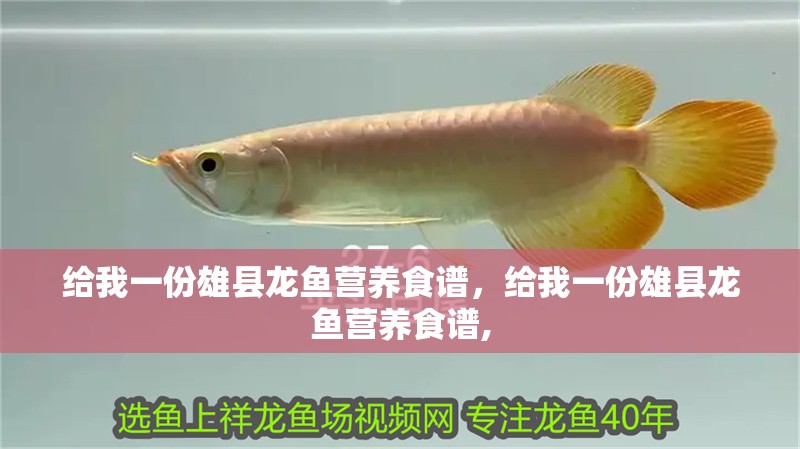 給我一份雄縣龍魚營養食譜，給我一份雄縣龍魚營養食譜,