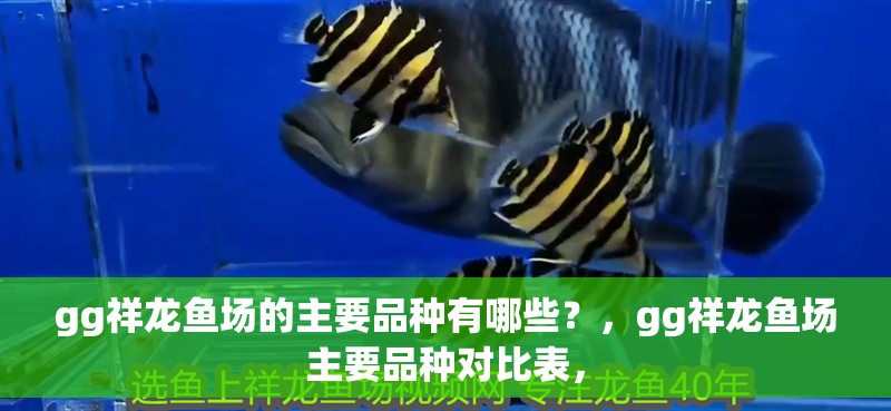 gg祥龍魚場的主要品種有哪些？，gg祥龍魚場主要品種對比表，