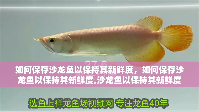 如何保存沙龍魚(yú)以保持其新鮮度，如何保存沙龍魚(yú)以保持其新鮮度,沙龍魚(yú)以保持其新鮮度
