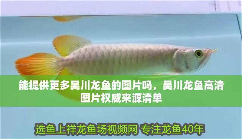 能提供更多吳川龍魚的圖片嗎，吳川龍魚高清圖片權威來源清單