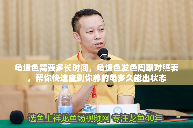 龜增色需要多長時間，龜增色發色周期對照表，幫你快速查到你養的龜多久能出狀態
