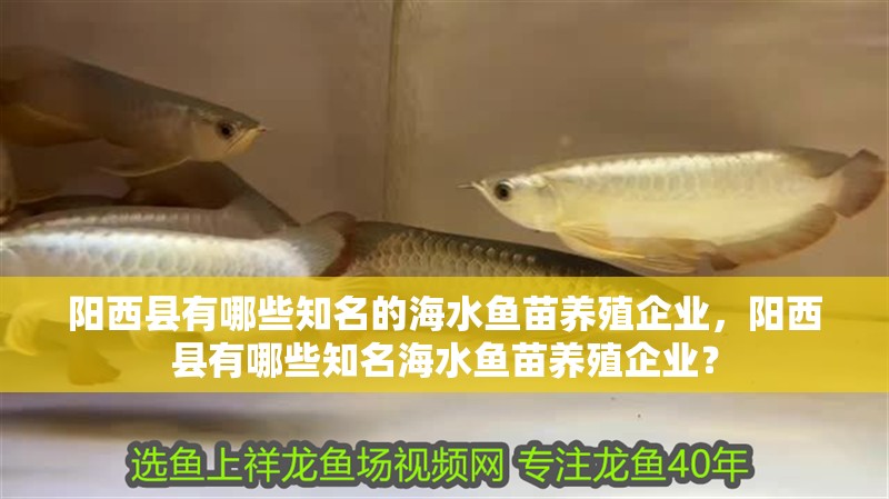陽(yáng)西縣有哪些知名的海水魚(yú)苗養(yǎng)殖企業(yè)，陽(yáng)西縣有哪些知名海水魚(yú)苗養(yǎng)殖企業(yè)？