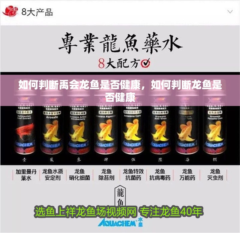 如何判斷禹會(huì)龍魚(yú)是否健康，如何判斷龍魚(yú)是否健康