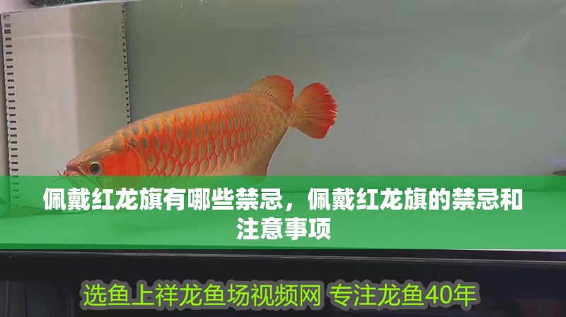 佩戴紅龍旗有哪些禁忌，佩戴紅龍旗的禁忌和注意事項
