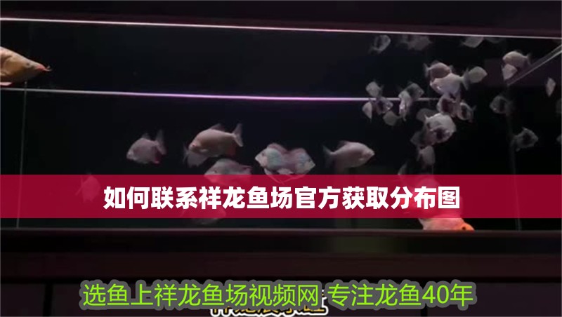 如何聯(lián)系祥龍魚場(chǎng)官方獲取分布圖