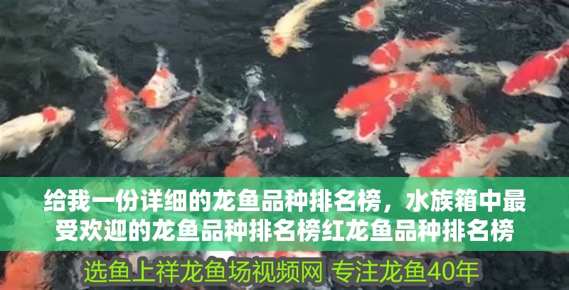 給我一份詳細的龍魚品種排名榜，水族箱中最受歡迎的龍魚品種排名榜紅龍魚品種排名榜