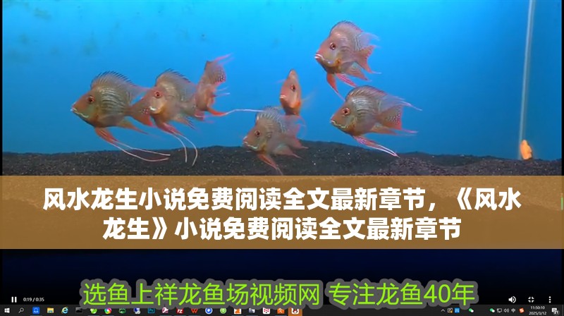 風水龍生小說免費閱讀全文最新章節(jié)，《風水龍生》小說免費閱讀全文最新章節(jié)