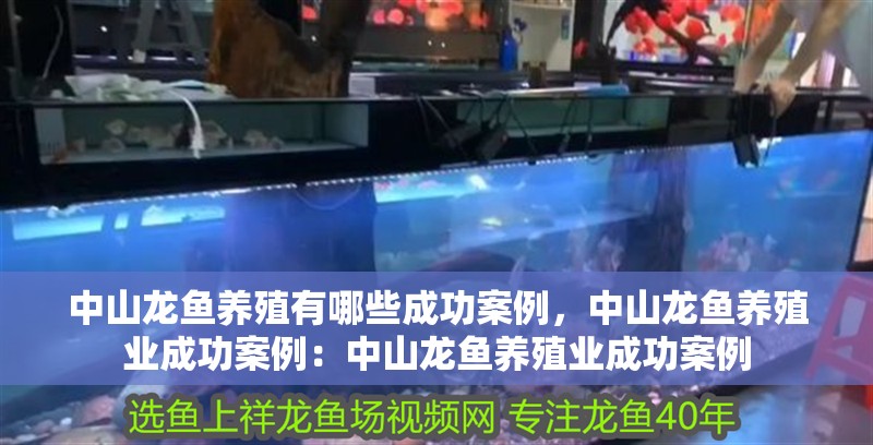 中山龍魚養(yǎng)殖有哪些成功案例，中山龍魚養(yǎng)殖業(yè)成功案例：中山龍魚養(yǎng)殖業(yè)成功案例