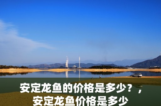安定龍魚的價格是多少？，安定龍魚價格是多少