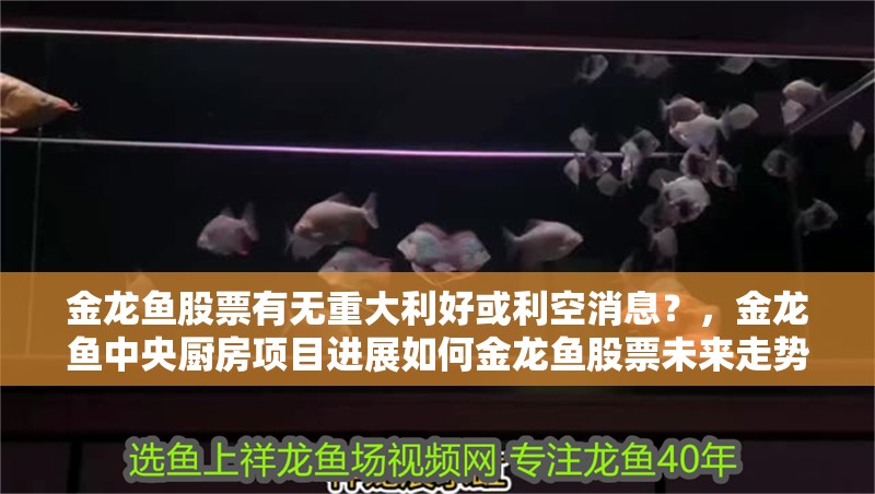 金龍魚股票有無重大利好或利空消息？，金龍魚中央廚房項目進展如何金龍魚股票未來走勢如何