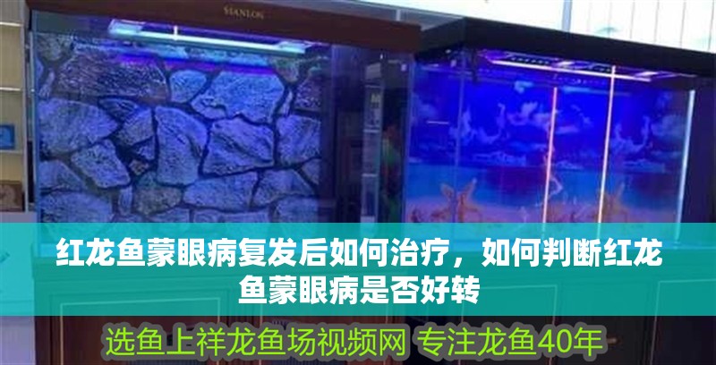 紅龍魚蒙眼病復發后如何治療，如何判斷紅龍魚蒙眼病是否好轉