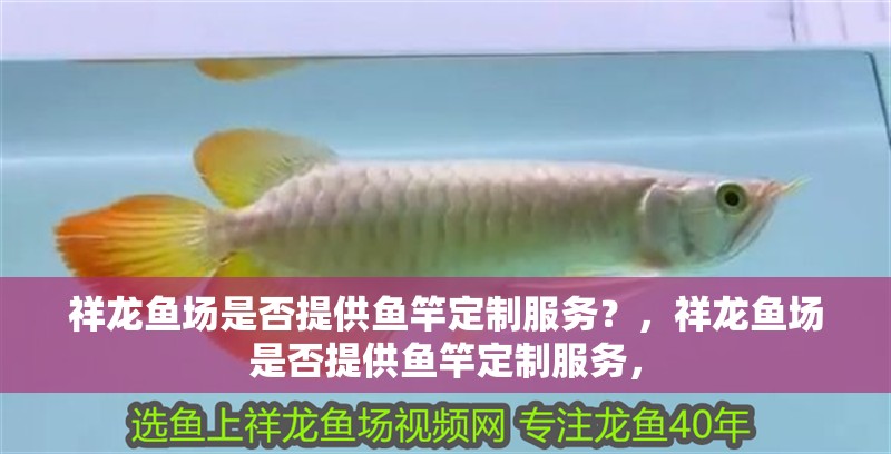 祥龍魚場是否提供魚竿定制服務？，祥龍魚場是否提供魚竿定制服務，