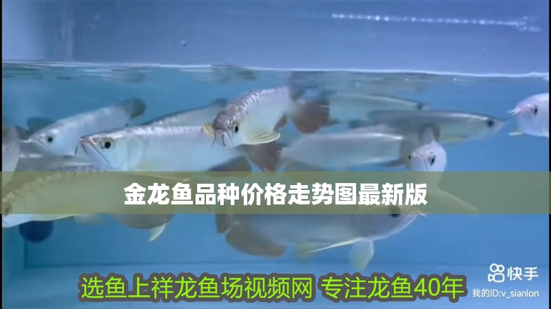 金龍魚品種價格走勢圖最新版
