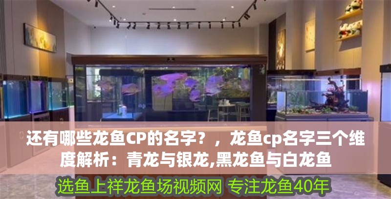 還有哪些龍魚CP的名字？，龍魚cp名字三個維度解析：青龍與銀龍,黑龍魚與白龍魚
