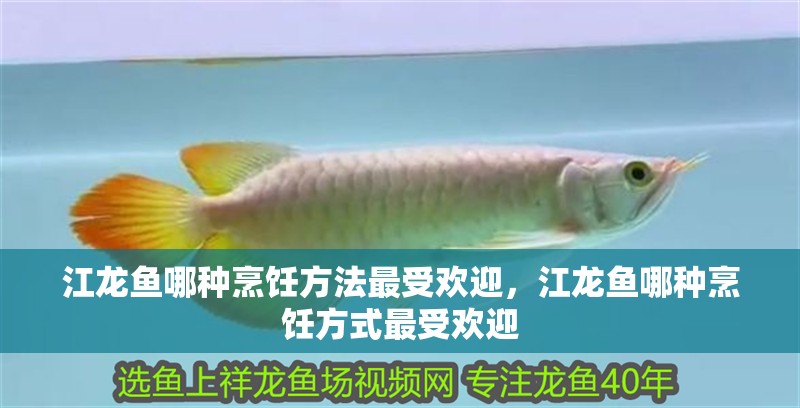 江龍魚哪種烹飪方法最受歡迎，江龍魚哪種烹飪方式最受歡迎