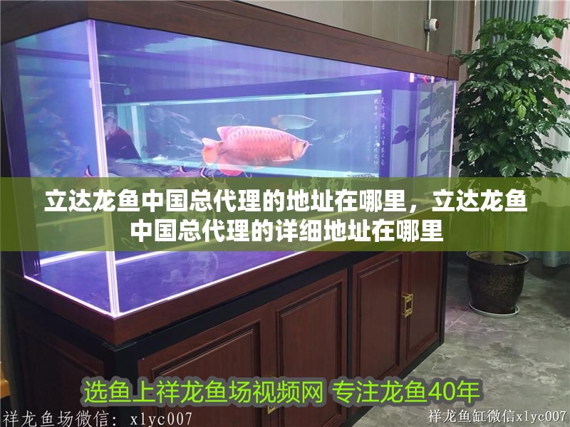 立達龍魚中國總代理的地址在哪里，立達龍魚中國總代理的詳細地址在哪里