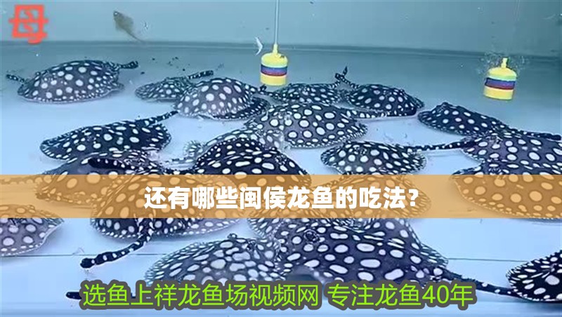 還有哪些閩侯龍魚的吃法？