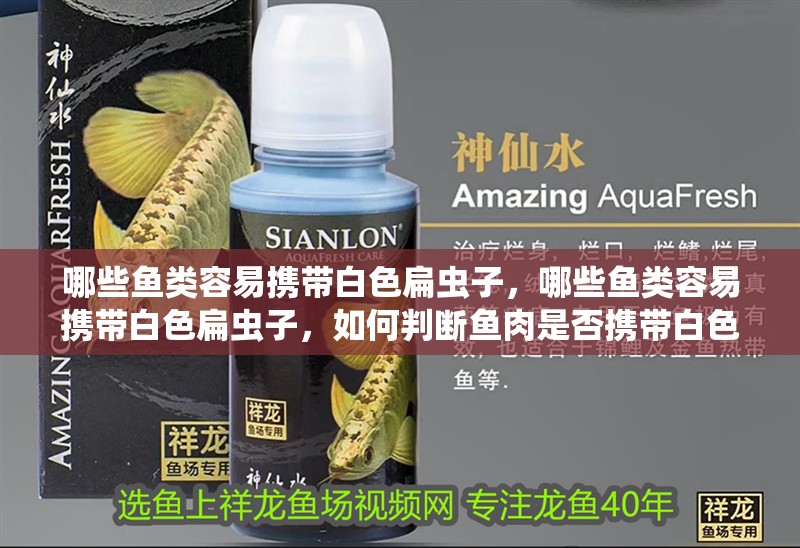 哪些魚(yú)類(lèi)容易攜帶白色扁蟲(chóng)子，哪些魚(yú)類(lèi)容易攜帶白色扁蟲(chóng)子，如何判斷魚(yú)肉是否攜帶白色扁蟲(chóng)子