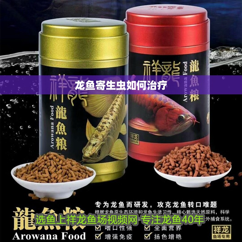 龍魚(yú)寄生蟲(chóng)如何治療